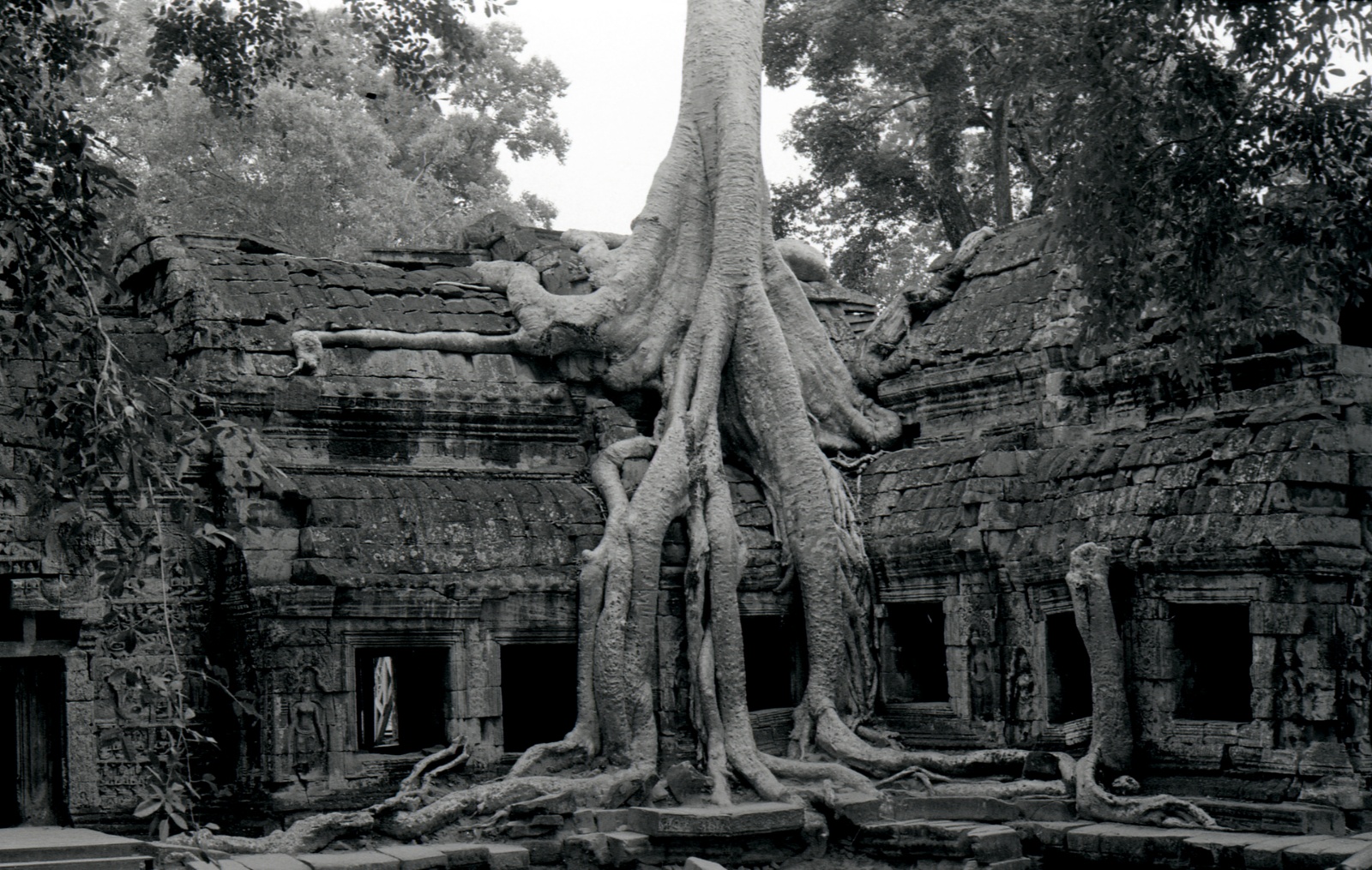 Temples of Angkor, Cambodia